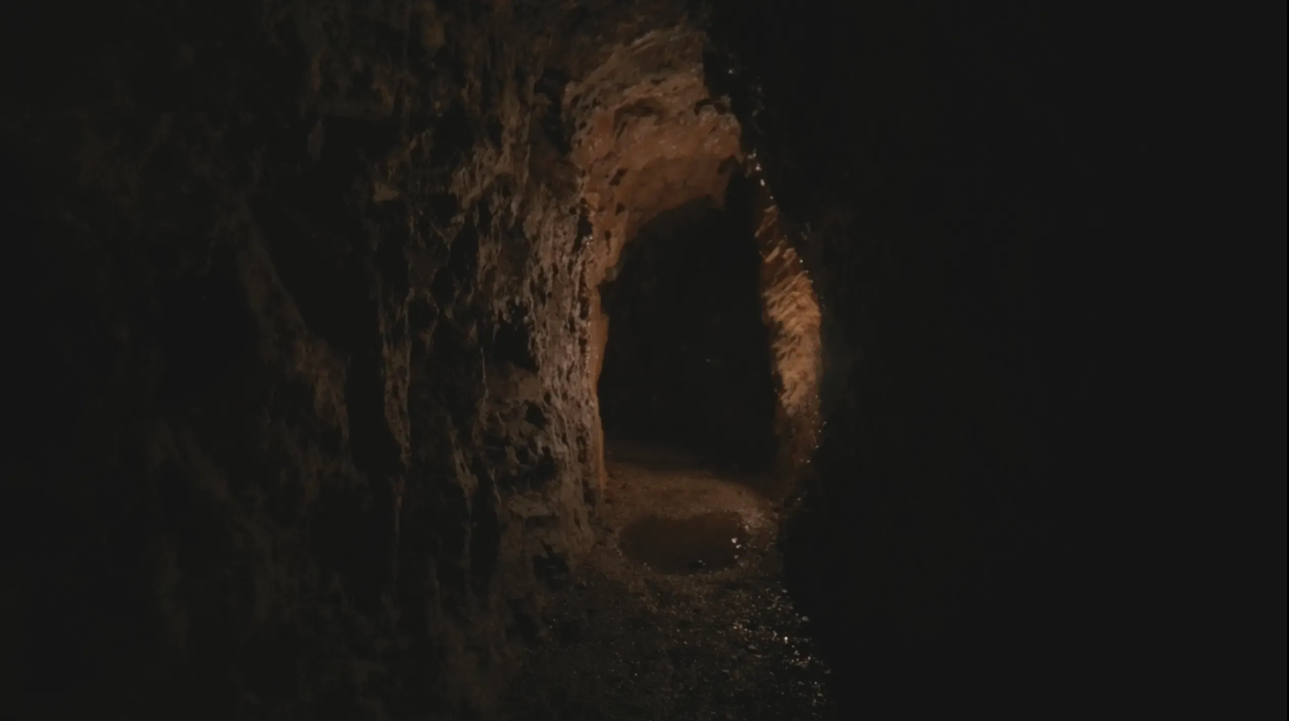 The Bucca still number 1